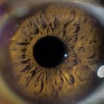 Eyeball 2473099 640 Eyeball 2473099 640